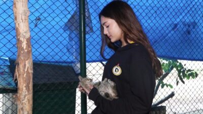 Devran GÜNDÜZ- Mehmet ALA/ İSTANBUL, – DEMİRÖREN Medya ve Teknoloji