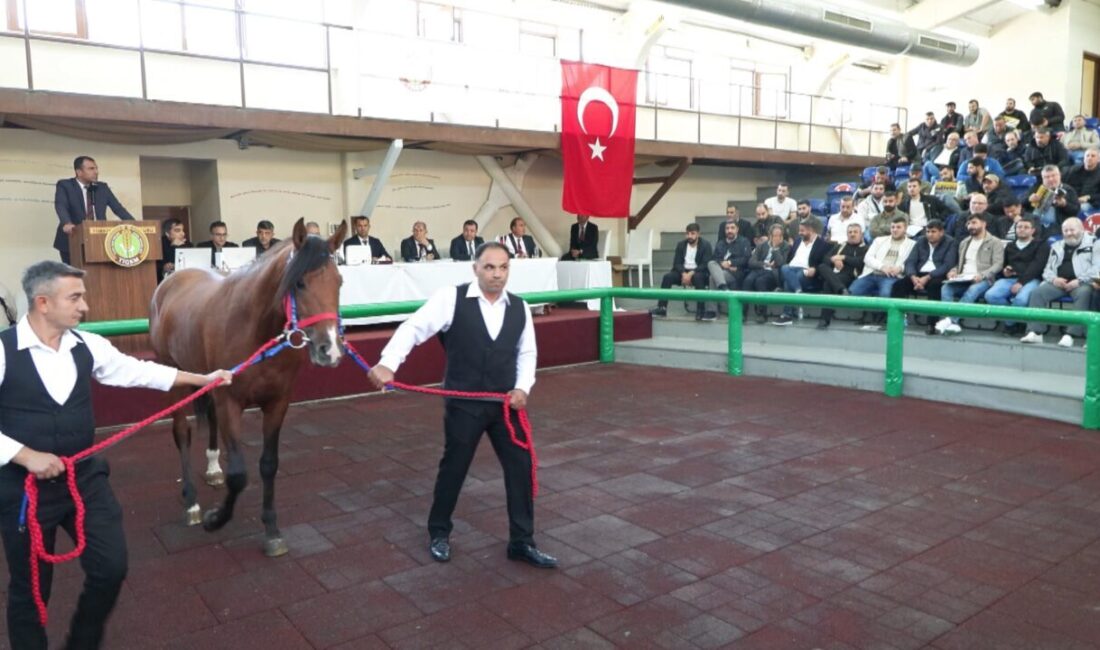 Gülseren KARAPINAR-Mehmet ALA/İSTANBUL, -Tarım İşletmeleri Genel Müdürlüğü’nün (TİGEM) satışa çıkardığı