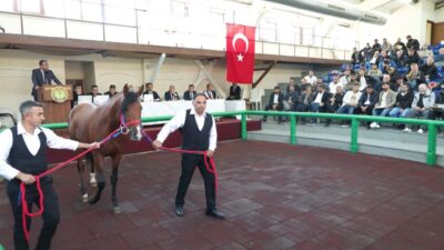 Gülseren KARAPINAR-Mehmet ALA/İSTANBUL, -Tarım İşletmeleri Genel Müdürlüğü’nün (TİGEM) satışa çıkardığı