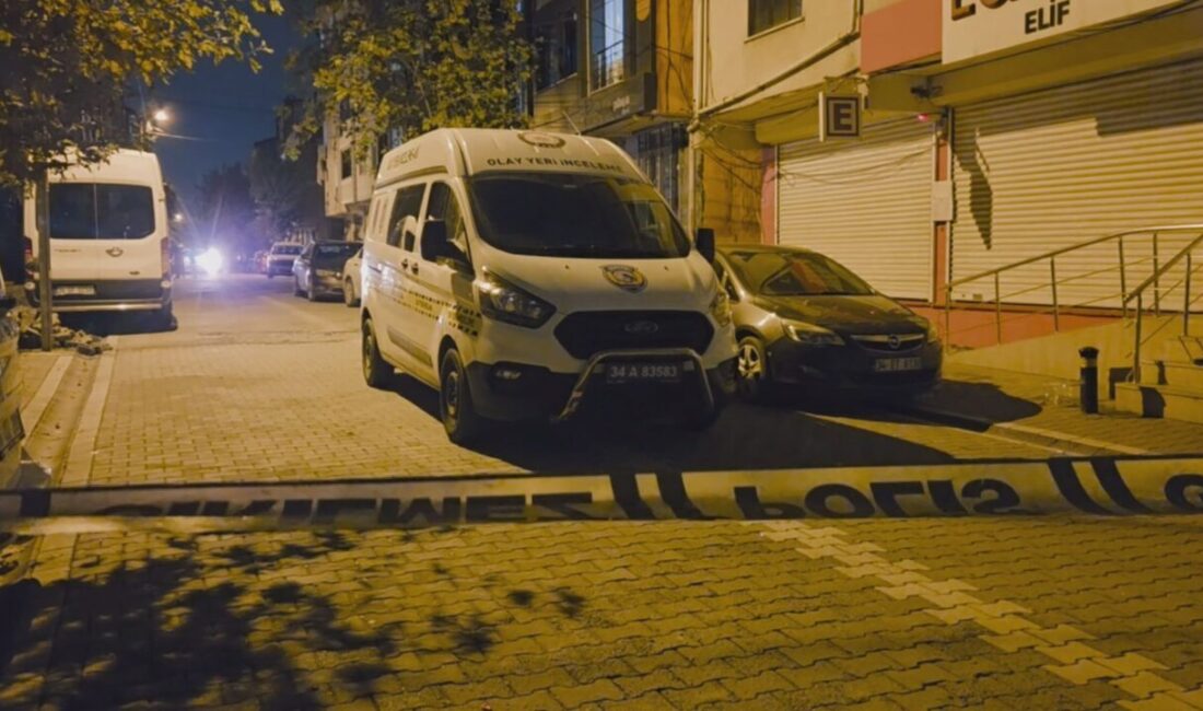 Vehbi DEMİR – Veysel TİMDU/İSTANBUL, – ESENYURT’ta sokakta yürüyen 4