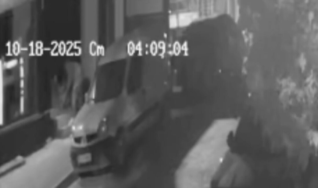İstanbul- Fatih’te iş yerindeki kasayı açamayınca taşıyarak çaldılar Ali AKSOYER/İSTANBUL -FATİH’te hırsızlık için girdikleri iş yerindeki kasayı açamayınca