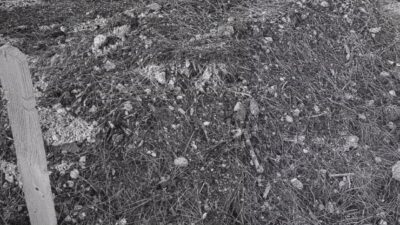 Tuğçe SEZER ODABAŞI- Şevval CİNDİR / İSTANBUL – Kırklareli’nin Lüleburgaz