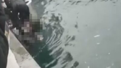 Murat SOLAK / İSTANBUL, – KADIKÖY Rıhtım İskelesi’nde engelli bir