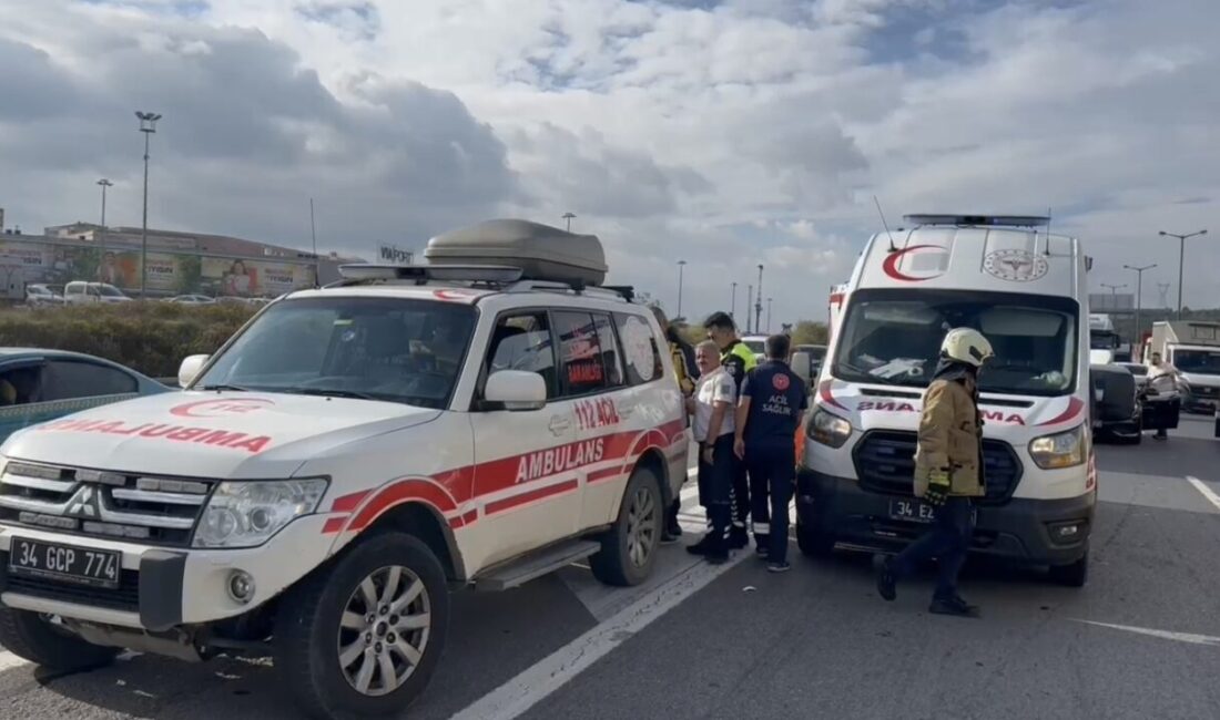 Mert ORDU/İSTANBUL, – PENDİK TEM Otoyolu’nda 2 otomobil ve bir