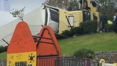 Doğan Can CESUR-Serap TÜRKOĞLU / İSTANBUL – SARIYER’de caddede şoförünün