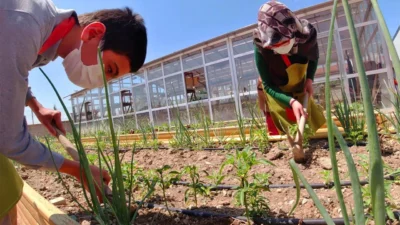 &nbsp; Tarım Uygulamaları Kontrolörleri İçin Güncelleme Eğitimi Duyurusu! Tarım ve