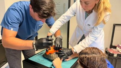 Gizem CENGİL-Celal ATALAY/ANKARA, – ANKARA’da yol kenarında kabuğu kırılmış halde