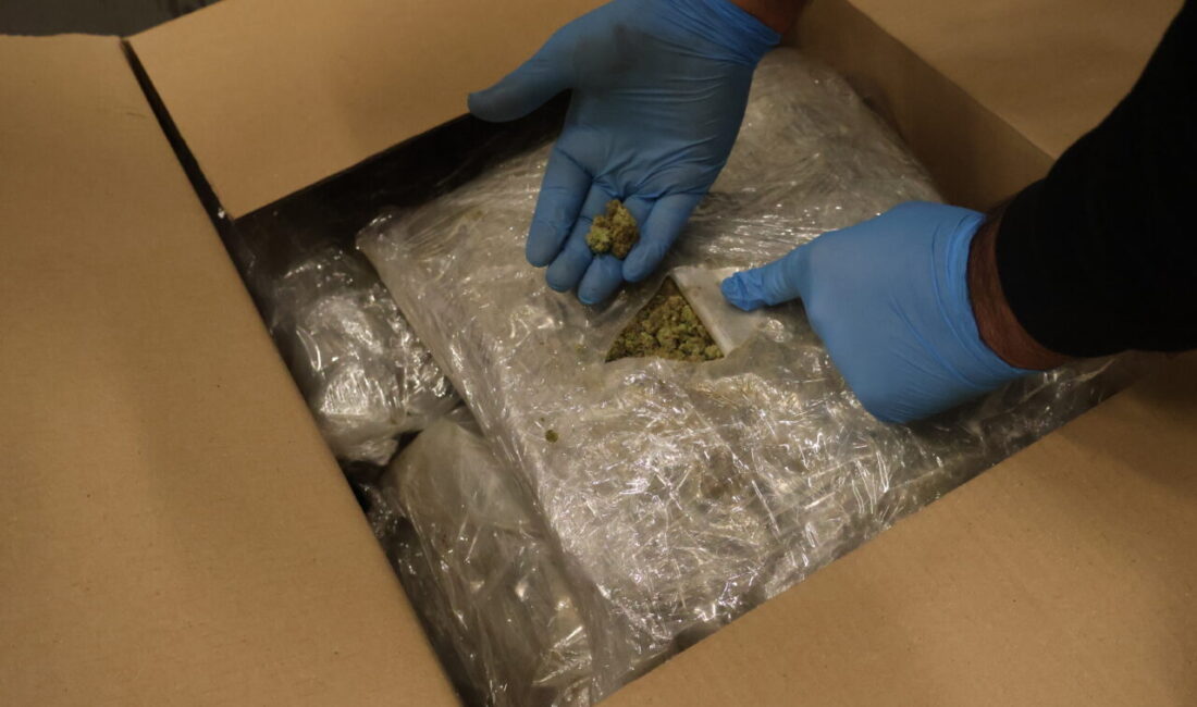 ANKARA, – TİCARET Bakanlığı Gümrükler Muhafaza ekipleri tarafından Kapıkule ve