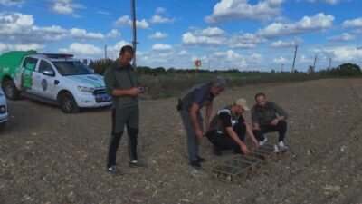 ANKARA, – DOĞA Koruma ve Milli Parklar Genel Müdürlüğü’nden (DKMP)