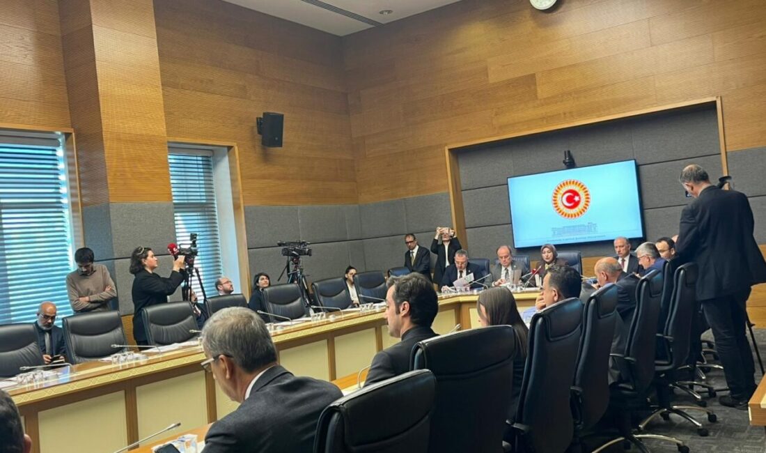 Gizem CENGİL/ ANKARA, – TARIM, Orman ve Köyişleri Komisyonu, Milli