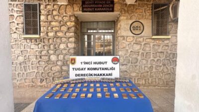 ANKARA, – MİLLİ Savunma Bakanlığı (MSB), Hakkari hudut hattında yapılan