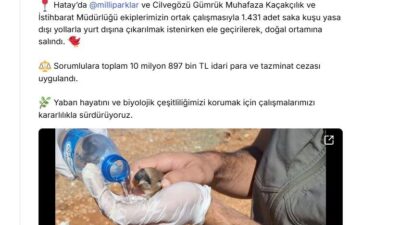 ANKARA, – TARIM ve Orman Bakanı İbrahim Yumaklı, Hatay’da yasa