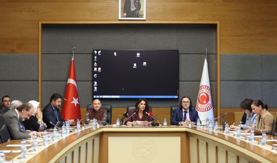 SGK Başkan Yardımcısı Ertüzün: Evde sağlık hizmeti için müracaat sayısı 3,5 milyon Aliekber METE/ ANKARA, – TBMM Engelli Bireylerin Sorunlarını Araştırma Komisyonu’nda