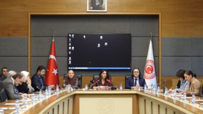 Aliekber METE/ ANKARA, – TBMM Engelli Bireylerin Sorunlarını Araştırma Komisyonu’nda