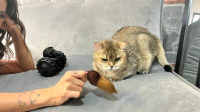 Gizem CENGİL-Ali Oğulcan ARSLAN/ANKARA, – ANKARA’da hemşire Pınar Çalık’ın (30)