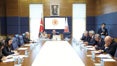 Aliekber METE/ ANKARA, – TBMM İnsan Haklarını İnceleme Komisyonu Ayrımcılığın