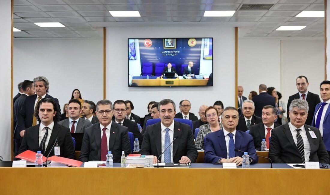 Aliekber METE/ANKARA, – TBMM Plan ve Bütçe Komisyonu, ‘2026 Yılı