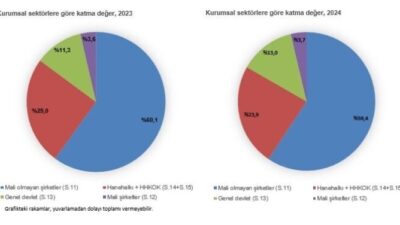 ANKARA, – TÜRKİYE İstatistik Kurumu (TÜİK), gayrisafi milli hasılanın (GSMH)
