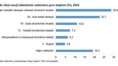 ANKARA, – TÜRKİYE İstatistik Kurumu (TÜİK), 2024 yılında sanayi sektöründe