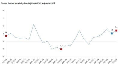 ANKARA, – TÜRKİYE İstatistik Kurumu (TÜİK), ağustos ayında sanayi üretiminin