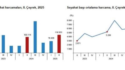 ANKARA, – TÜRKİYE İstatistik Kurumu (TÜİK), 2025 yılı Nisan, Mayıs