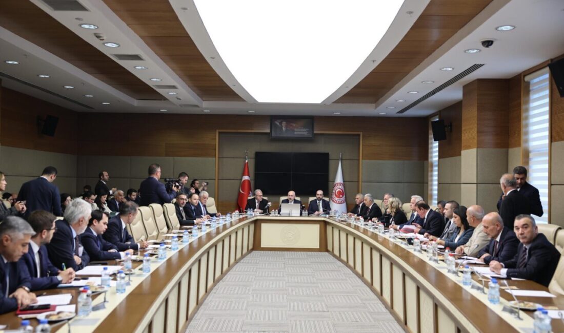 Gizem CENGİL/ ANKARA, – BAYINDIRLIK, İmar, Ulaştırma ve Turizm Komisyonu,