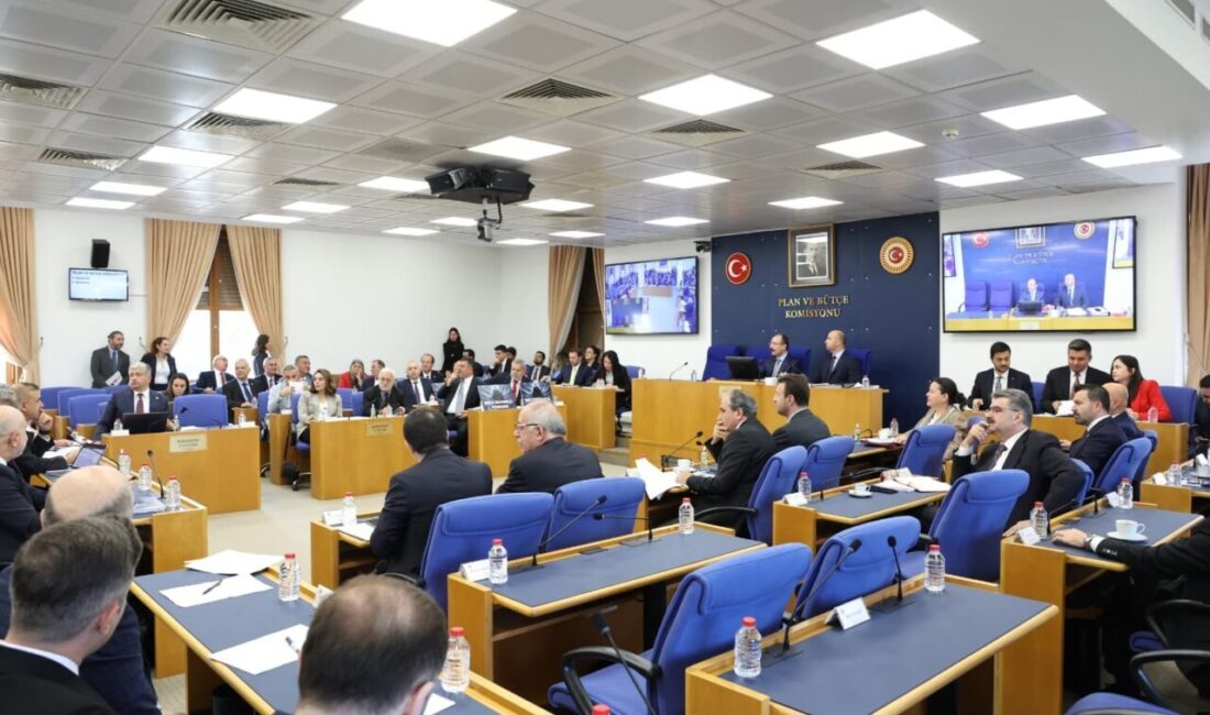 Aliekber METE/ANKARA, – TBMM Plan ve Bütçe Komisyonu, vergi düzenlemelerini