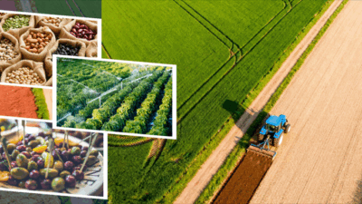 Tarım ve Orman Bakanı İbrahim Yumaklı, üreticilere sağlanacak olan toplam