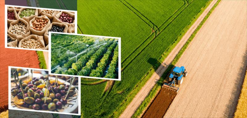 Tarım ve Orman Bakanı İbrahim Yumaklı, üreticilere sağlanacak olan toplam