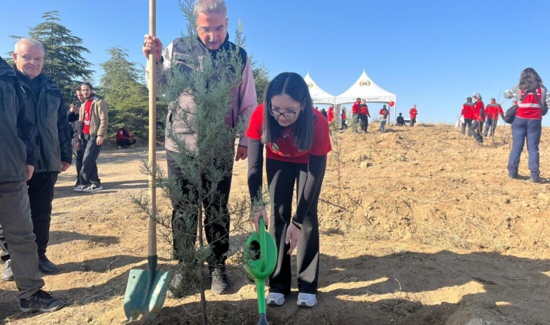 Gizem CENGİL-Mikail KARAMAN/ANKARA, – ESKİŞEHİR’de 23 Temmuz’da çıkan orman yangınında