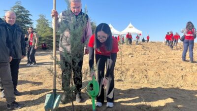 Gizem CENGİL-Mikail KARAMAN/ANKARA, – ESKİŞEHİR’de 23 Temmuz’da çıkan orman yangınında