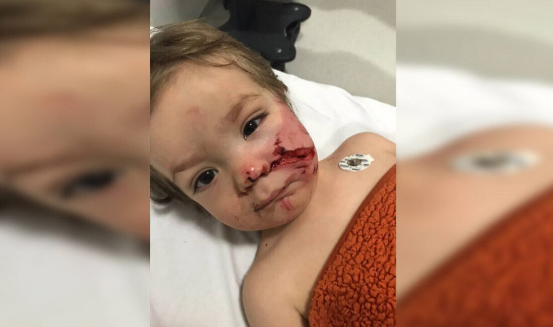 Kadircan GÜLER- Mehmet Gökhan HAKBİLİR/ ANKARA, – ANKARA’da pazar alışverişinden