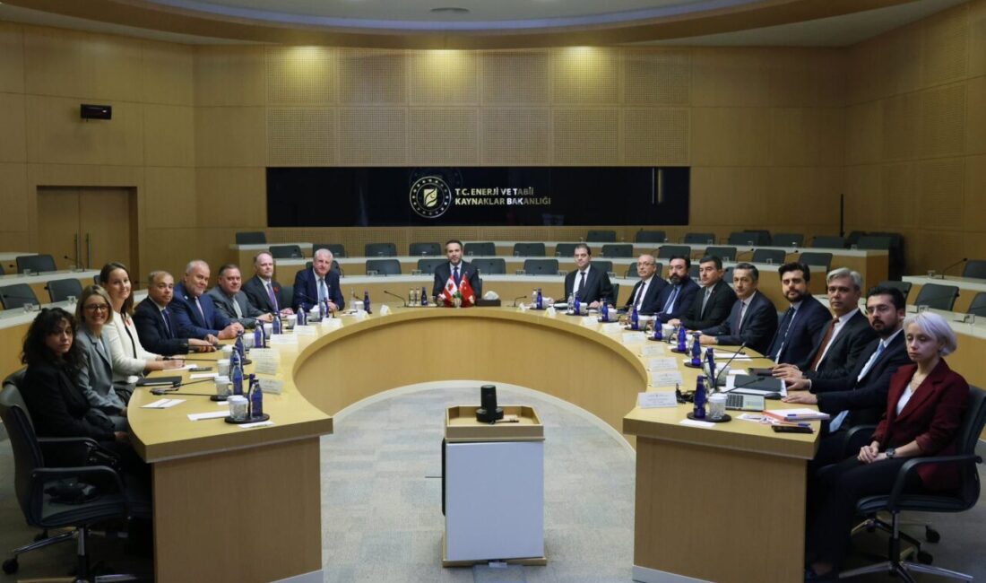 ANKARA, – ENERJİ ve Tabii Kaynaklar Bakanı Alparslan Bayraktar, Kanada