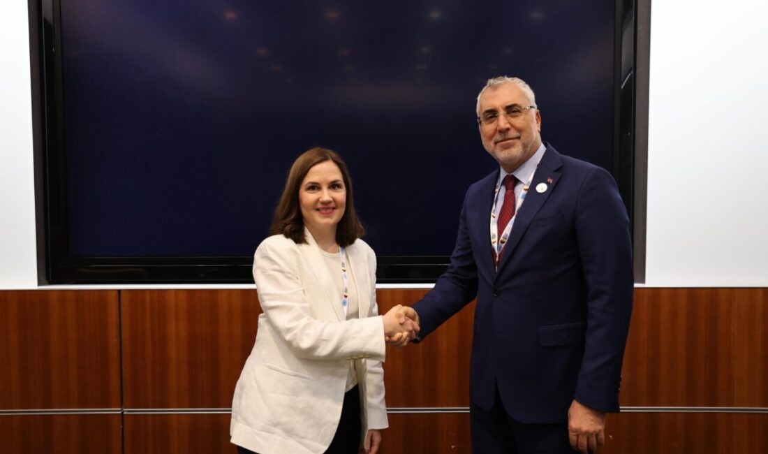 ANKARA, – ÇALIŞMA ve Sosyal Güvenlik Bakanı Vedat Işıkhan, 2’nci