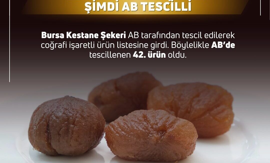 ANKARA, – TARIM ve Orman Bakanı İbrahim Yumaklı, Bursa Kestane