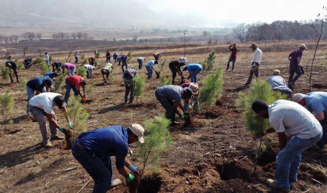  11 Kasım 2025 tarihinde Türkiye, diplomasi ve spor gündeminin