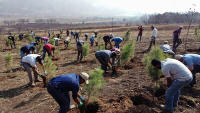  11 Kasım 2025 tarihinde Türkiye, diplomasi ve spor gündeminin