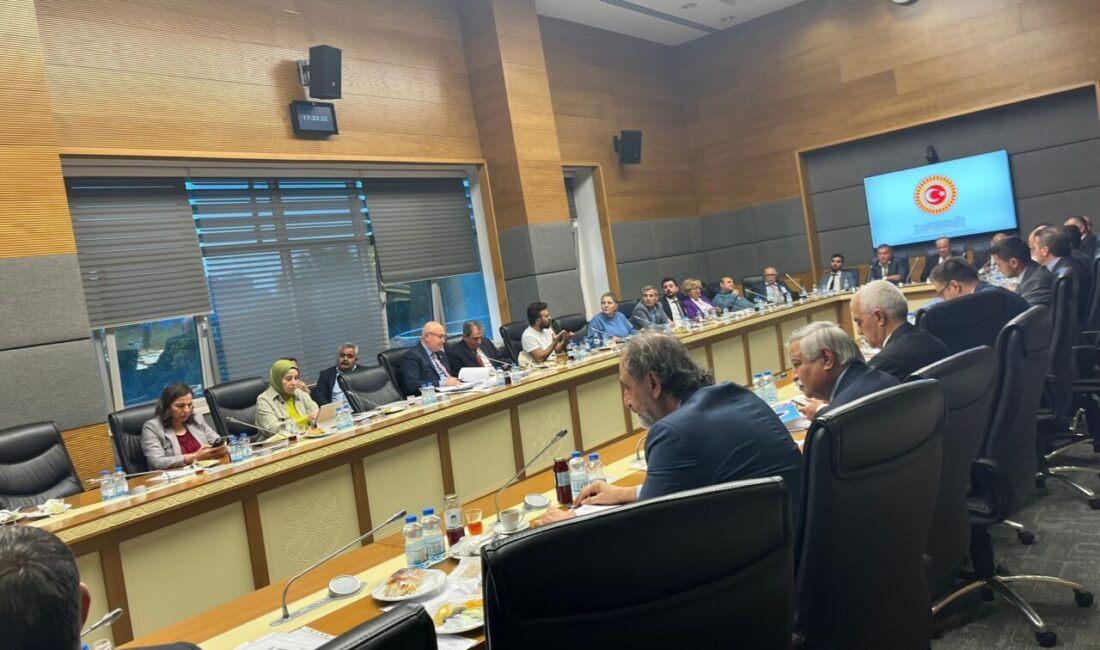 Gizem CENGİL/ ANKARA, – TBMM Engellilerin Sorunlarını Araştırma Komisyonu, Türkiye