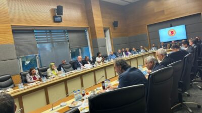 Gizem CENGİL/ ANKARA, – TBMM Engellilerin Sorunlarını Araştırma Komisyonu, Türkiye