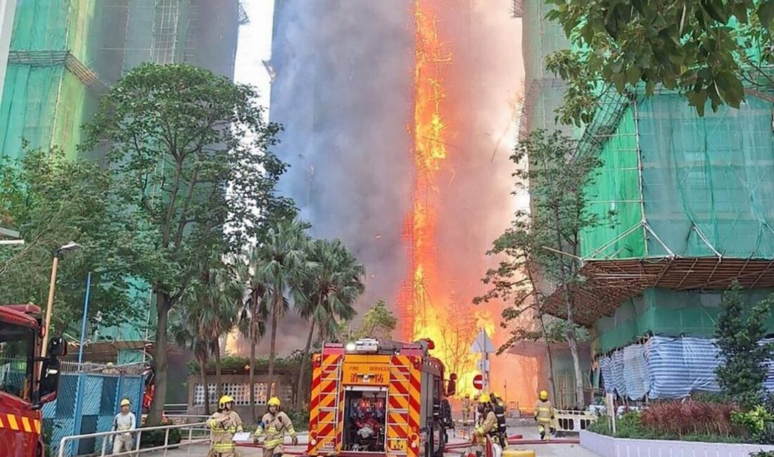 HONG KONG, – HONG Kong’un kuzeyindeki Tai Po bölgesindeki çok