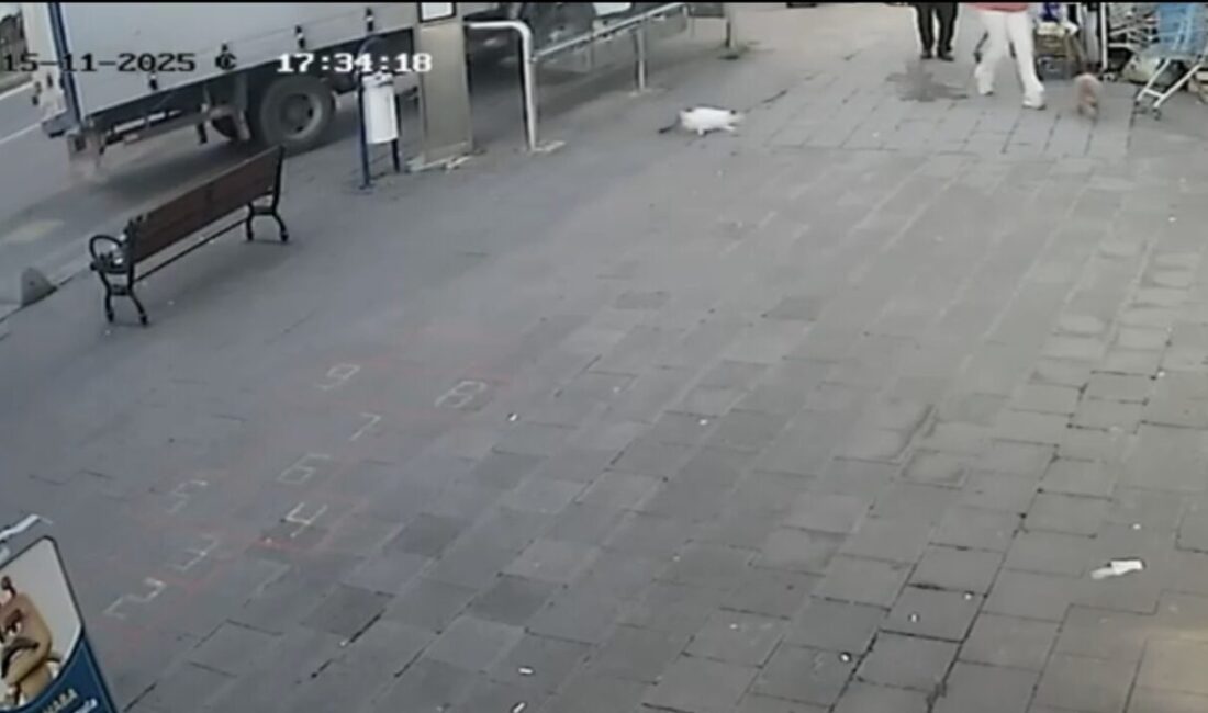 Mert ORDU/İSTANBUL – ATAŞEHİR’de, sürücüsünün kontrol etmekte zorlandığı kamyonet, geri