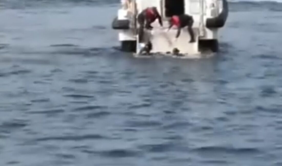 Mert ORDU – Doğan Can CESUR / İSTANBUL, – BEYKOZ