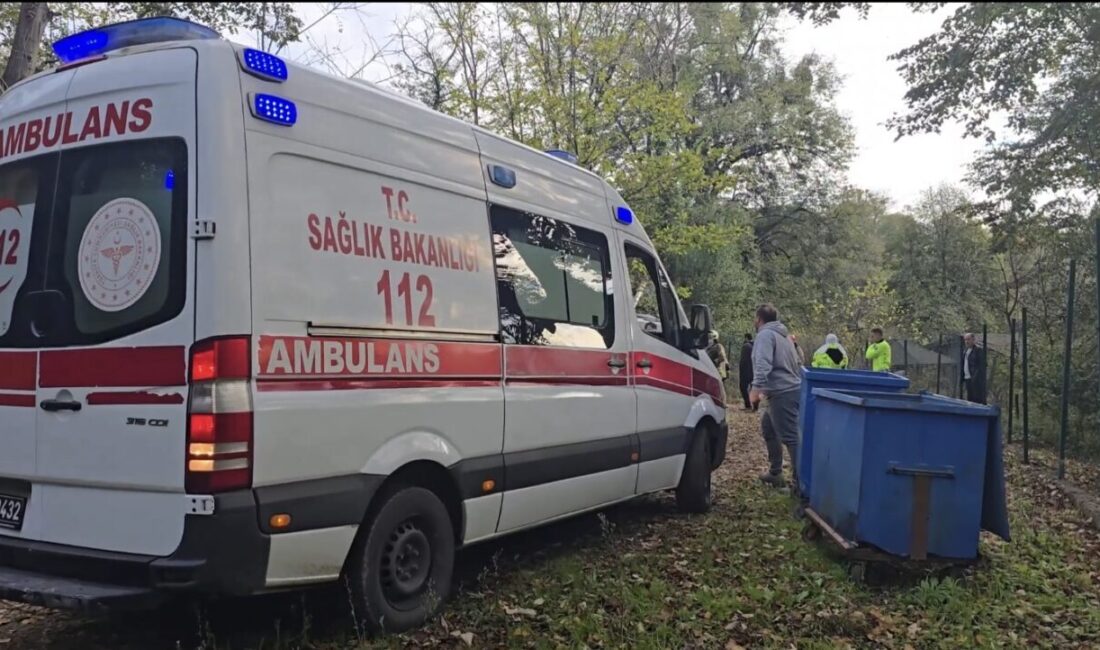 Mert ORDU/İSTANBUL – BEYKOZ’da toprak yolda ilerleyen mıcır yüklü kamyon