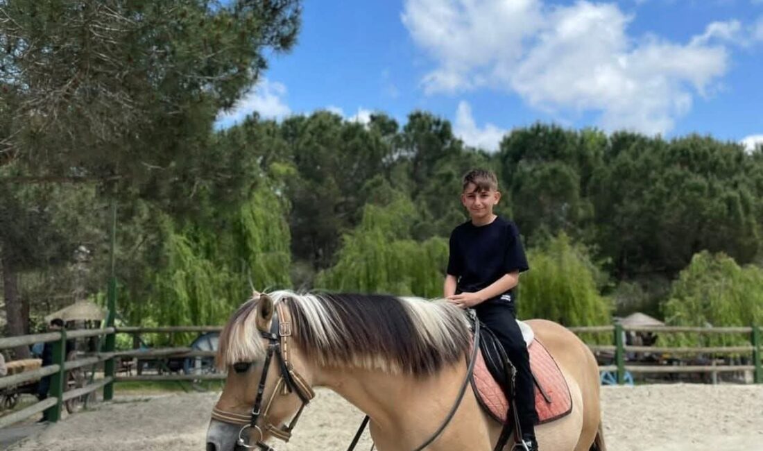 Derya EVREN KORKMAZ-Emir EFE BENLİOĞLU- Özgür EREN / İSTANBUL, –