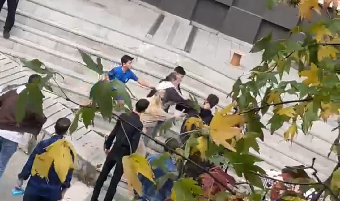 Doğan Can CESUR / İSTANBUL – KAĞITHANE’de 15 yaşındaki E.N.’yi