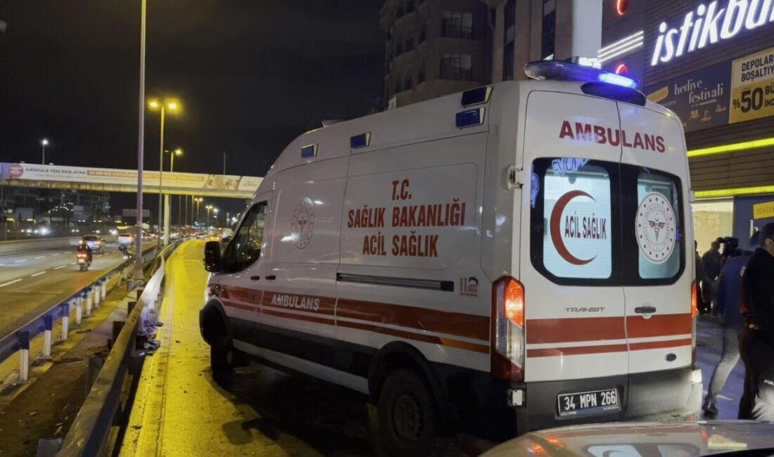 Baran AKKAYA-Altunay TUGA/İSTANBUL, -KÜÇÜKÇEKMECE D-100 Karayolu yan yolda 4 aracın