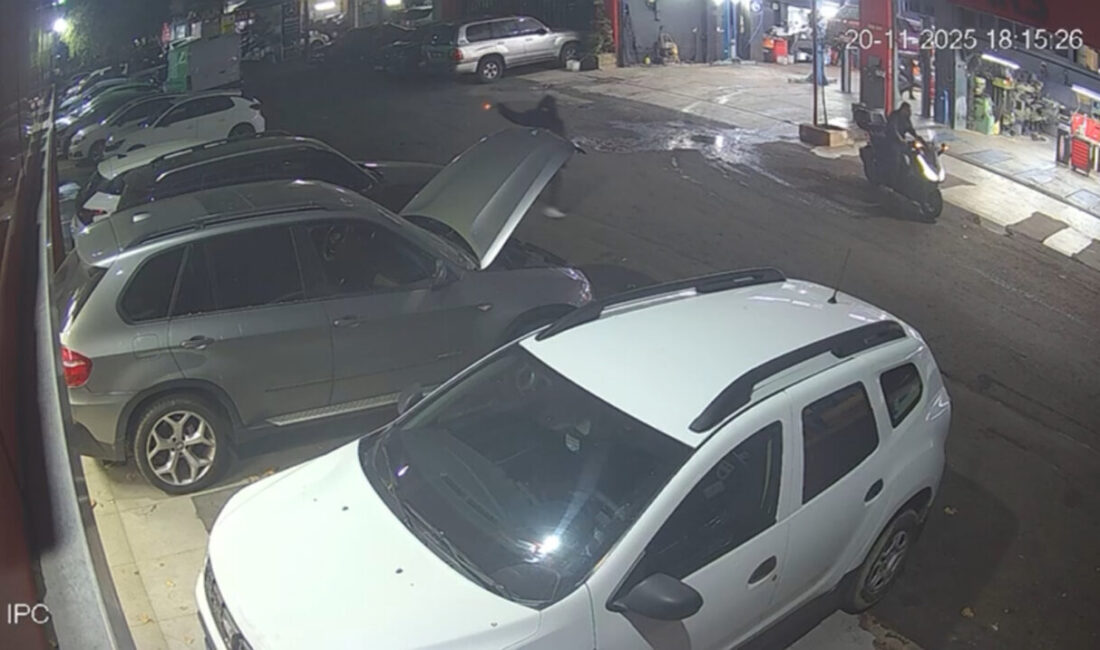 Doğan Can CESUR / İSTANBUL – SARIYER Maslak Oto Sanayi’ye