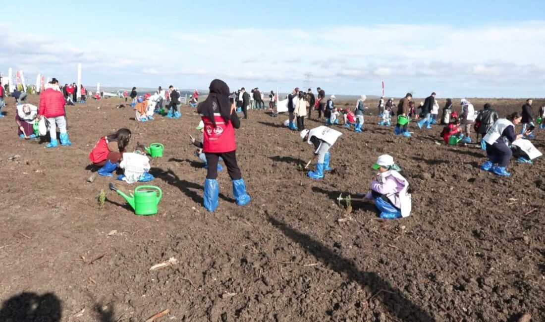 Canan İLARSLAN – Ataberk KURT/ İSTANBUL, – MİLLİ Ağaçlandırma Günü