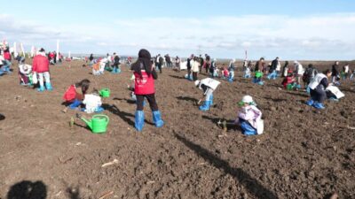 Canan İLARSLAN – Ataberk KURT/ İSTANBUL, – MİLLİ Ağaçlandırma Günü