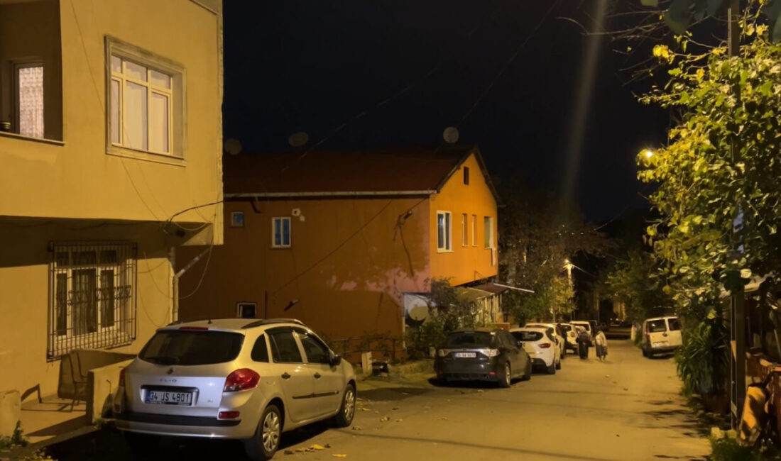 Doğan Can CESUR-Yılmaz OKUR / İSTANBUL – SARIYER’de dayı Ufuk